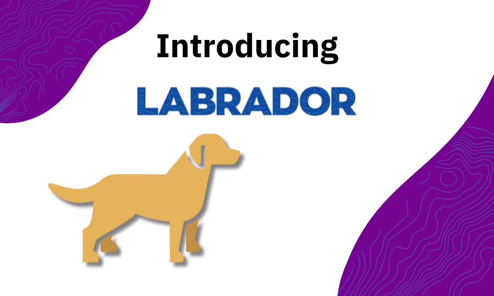 Introducing Labrador: The Future Of Weather Data Retrieval