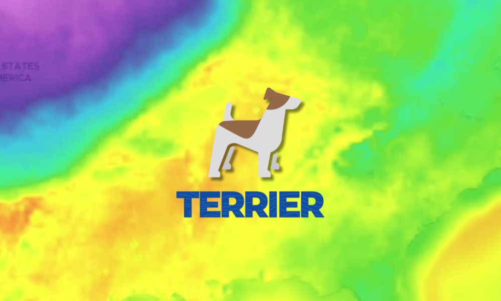 Terrier: Setting New Standards in Real-Time Data Visualization